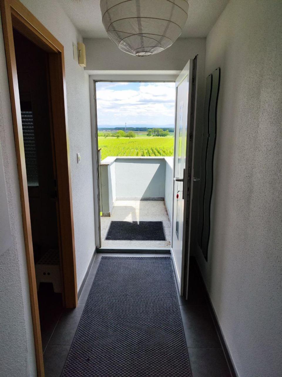Bel Appartement En Centre Alsace Kintzheim Exterior foto